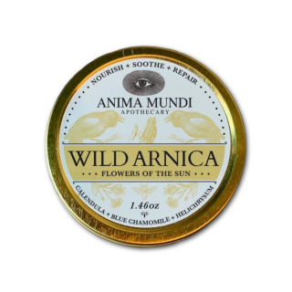HEAL-ALL ARNICA RELIEF BALM pâte  41g