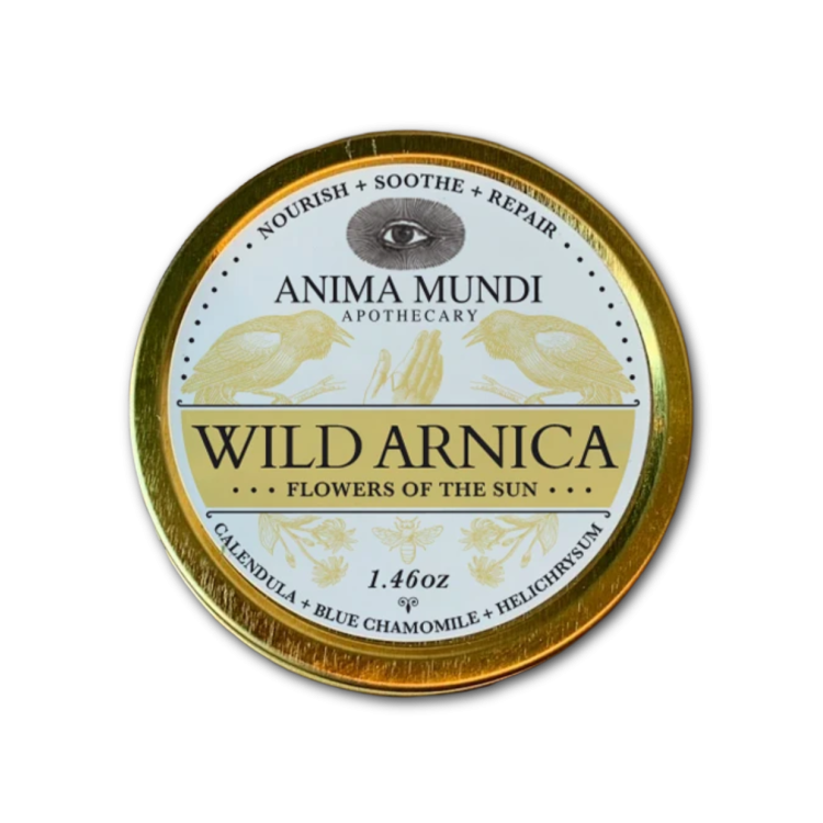 HEAL-ALL ARNICA RELIEF BALM pâte  41g