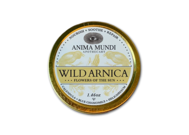 HEAL-ALL ARNICA RELIEF BALM pâte  41g