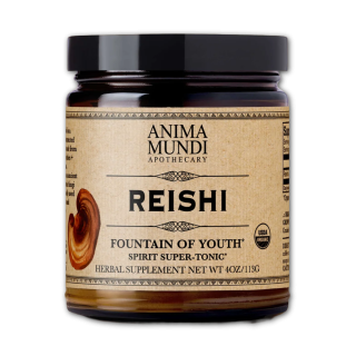 REISHI FOUTAIN of YOUTH  poudre  113g