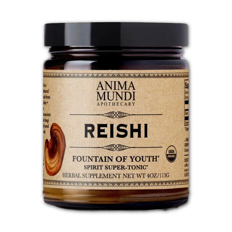REISHI FOUTAIN of YOUTH  poudre  113g