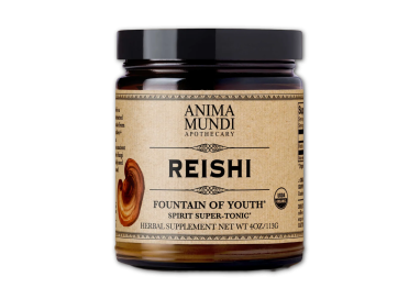 REISHI FOUTAIN of YOUTH  poudre  113g
