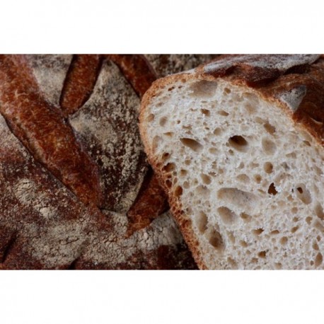 Pain Blanc 1kg long Pain Blanc 1kg long