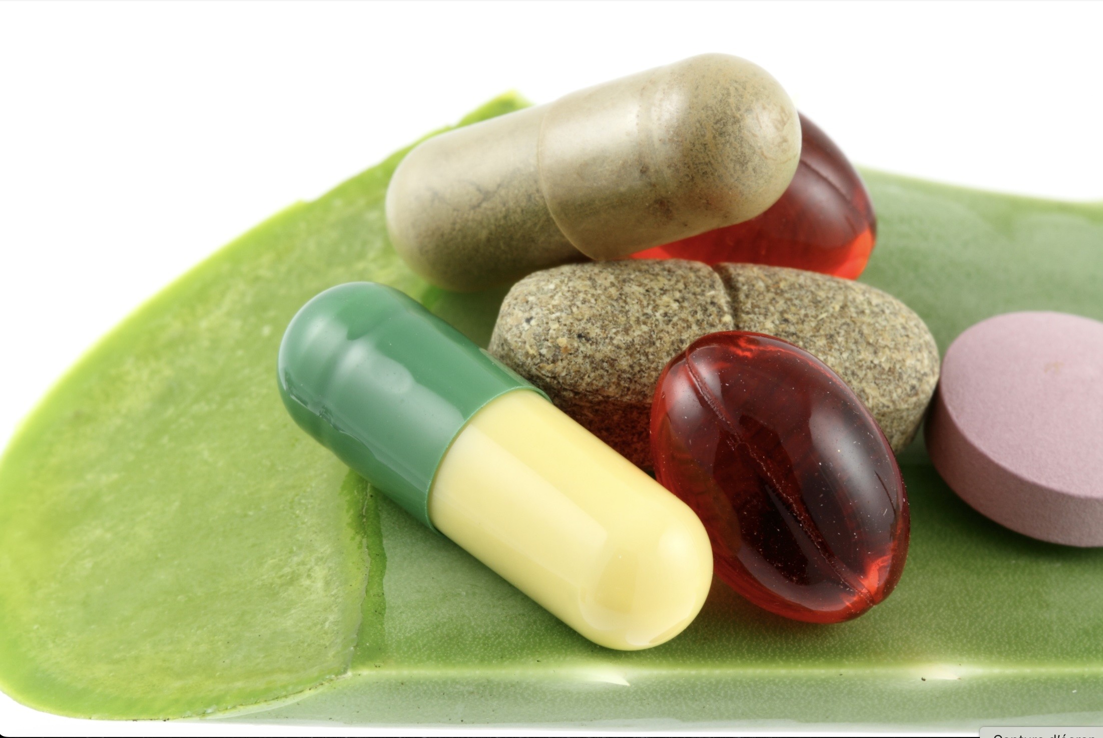 La santé par les plantes