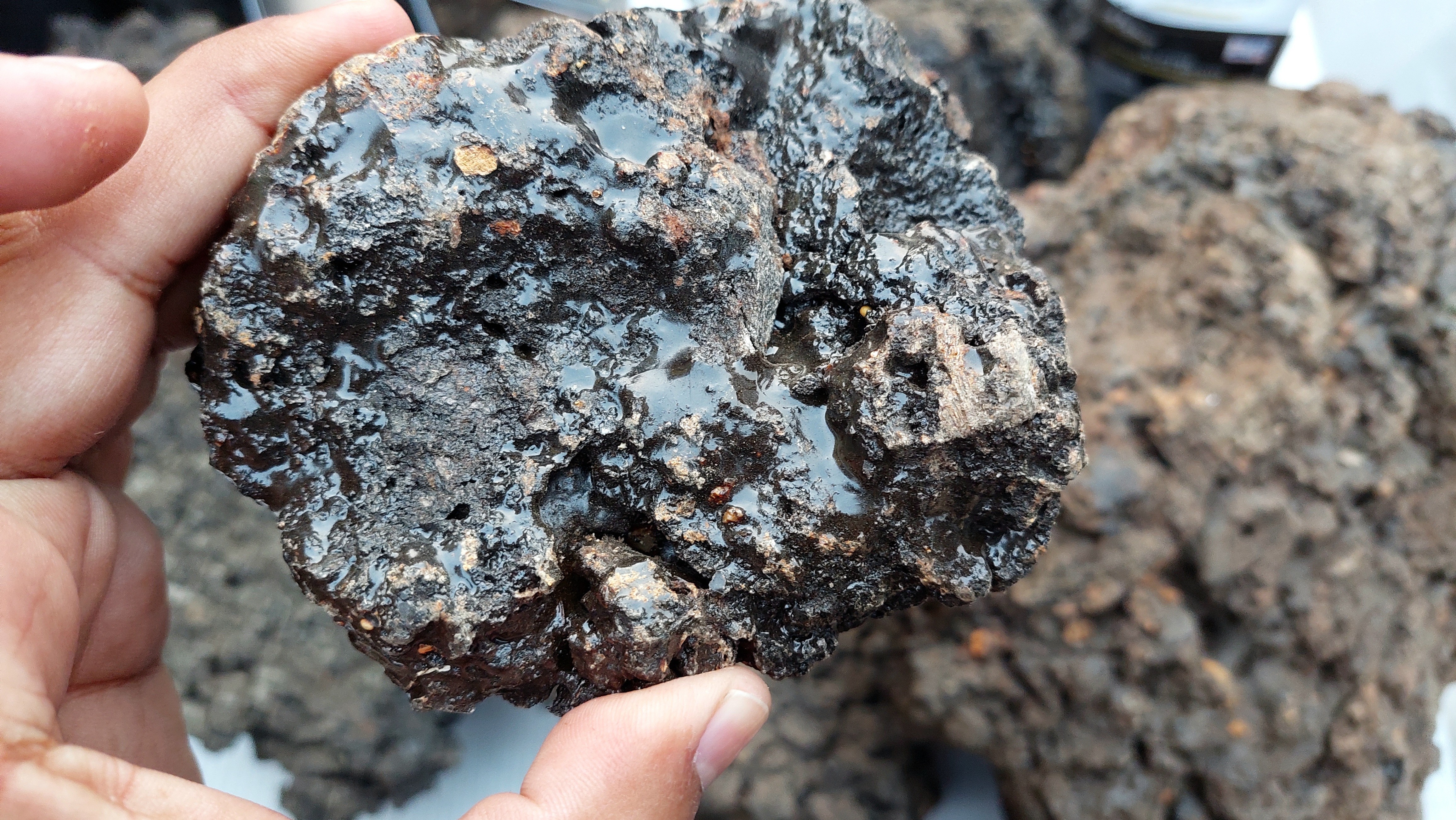 Shilajit : bienfaits, composition, conseils et comment bien le choisir