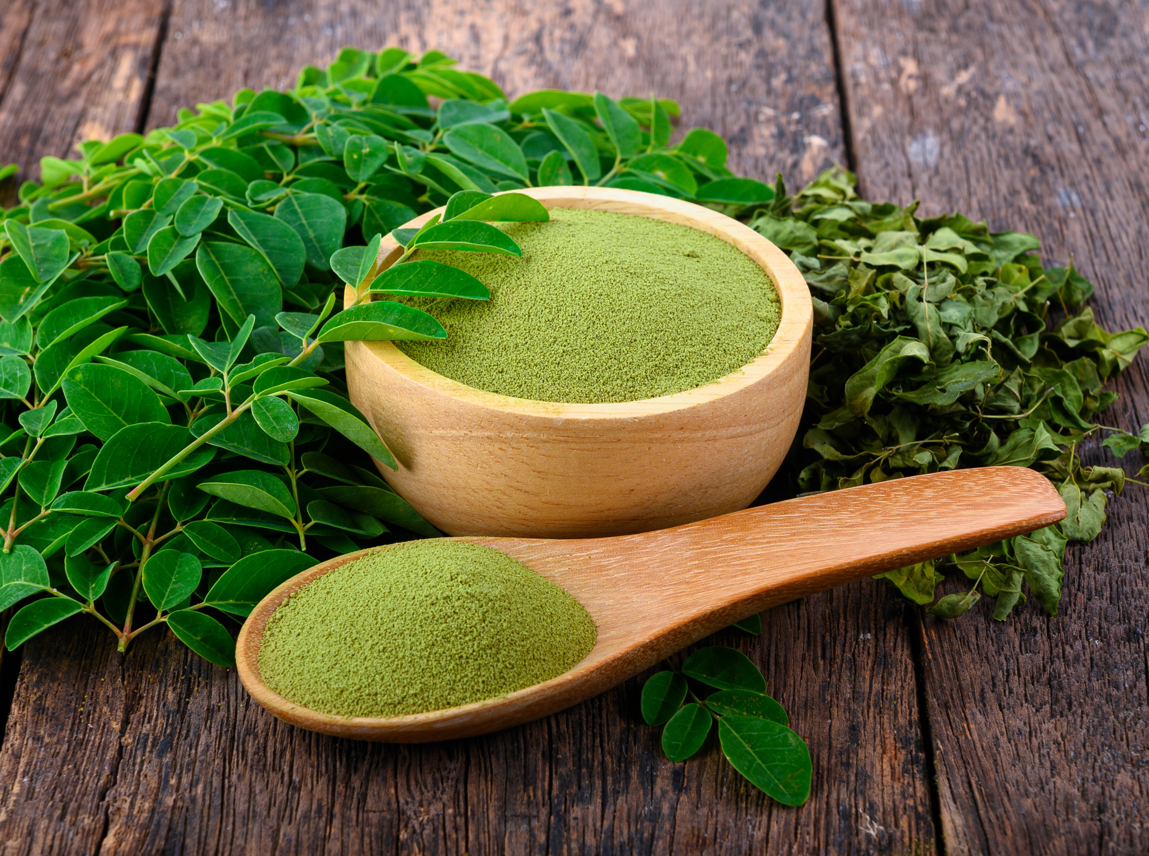 Le Moringa : un super-aliment aux mille vertus