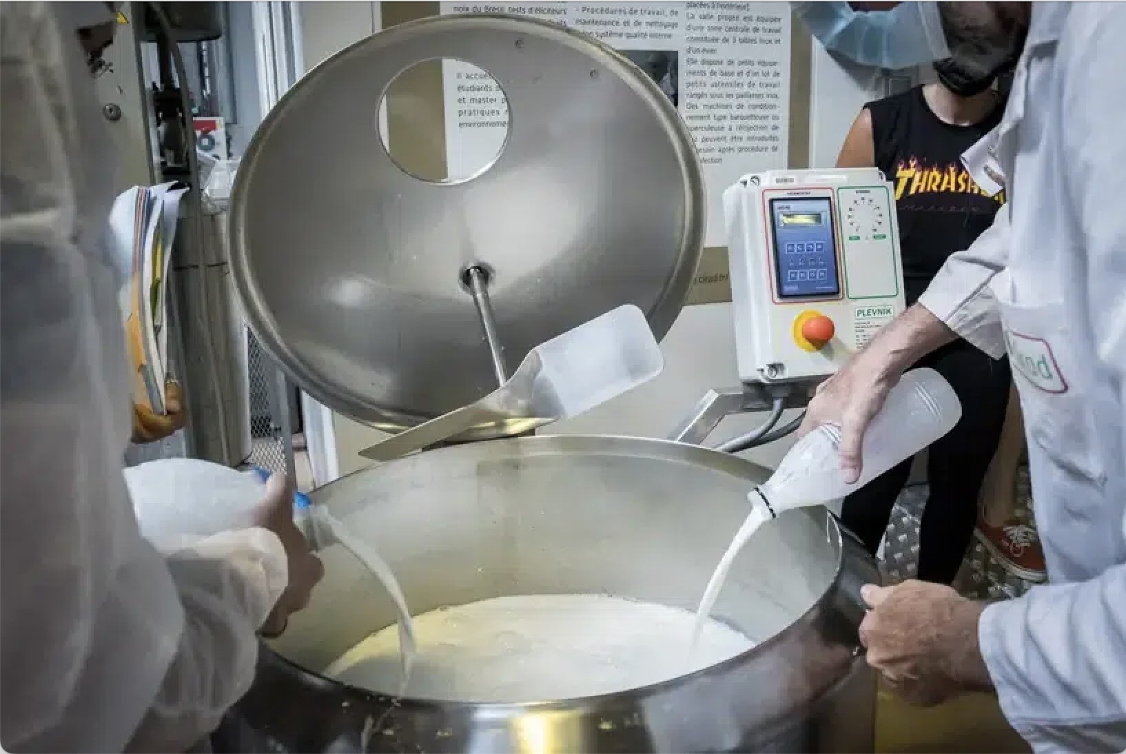 La ferme de Julien Job, dans le nord de la France se lance dans le lait de chamelle La ferme de Julien Job, dans le nord de la France se lance dans le lait de chamelle