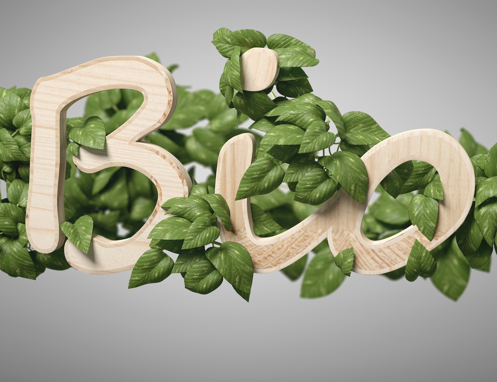 Les labels bio ont-ils tous la même valeur d'un pays à l'autre