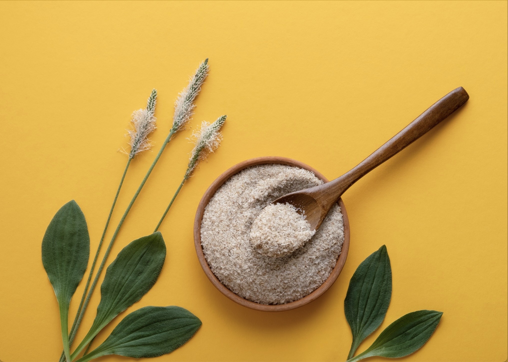 Transit via Psyllium Transit via Psyllium