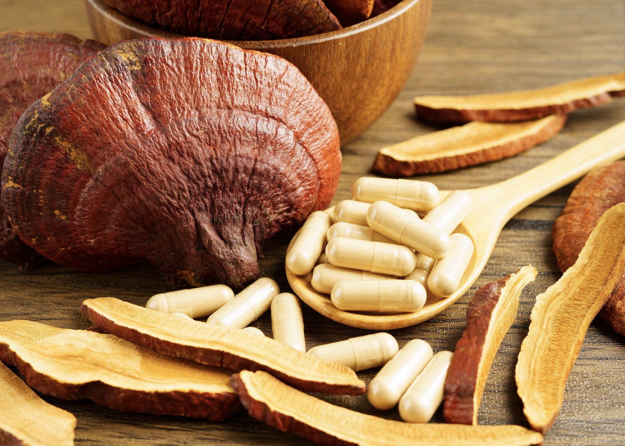 LES CHAMPIGNONS : TRESOR DE SANTE